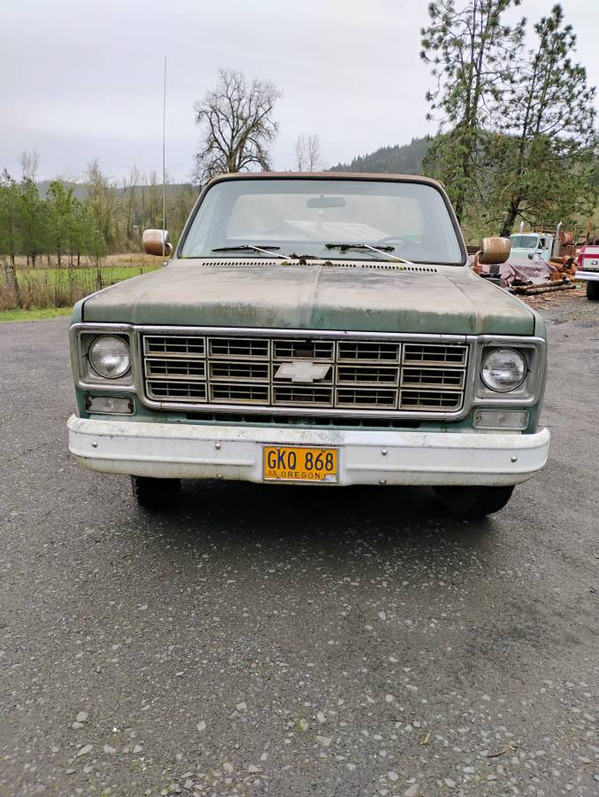 Chevrolet-C10-1977-green-74387-2