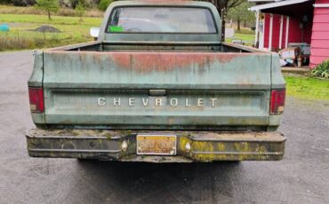 Chevrolet-C10-1977-green-74387-3