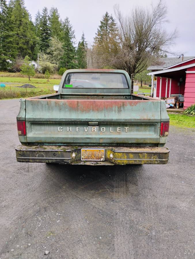 Chevrolet-C10-1977-green-74387-3