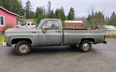 Chevrolet-C10-1977-green-74387