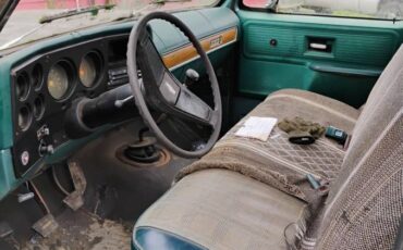 Chevrolet-C10-1977-green-74387-5