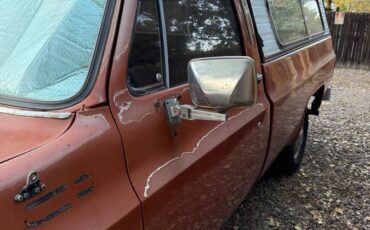 Chevrolet-C10-1978-brown-56535-1