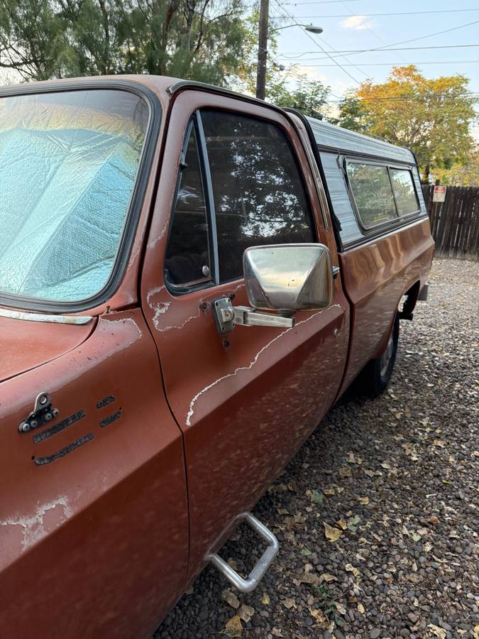 Chevrolet-C10-1978-brown-56535-1