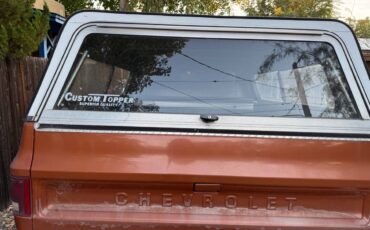 Chevrolet-C10-1978-brown-56535-2