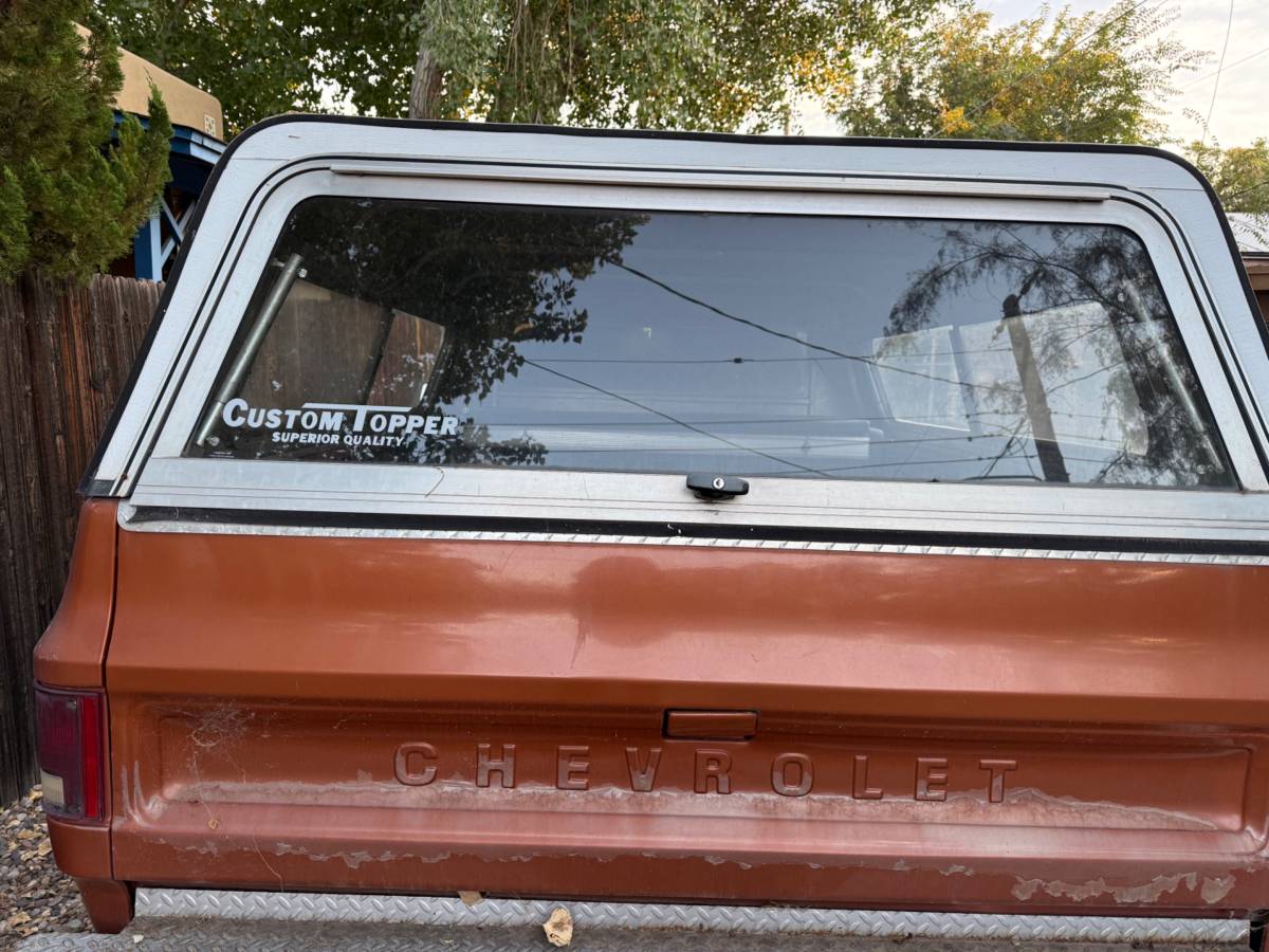 Chevrolet-C10-1978-brown-56535-2