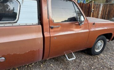 Chevrolet-C10-1978-brown-56535-3