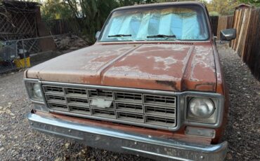 Chevrolet-C10-1978-brown-56535-5