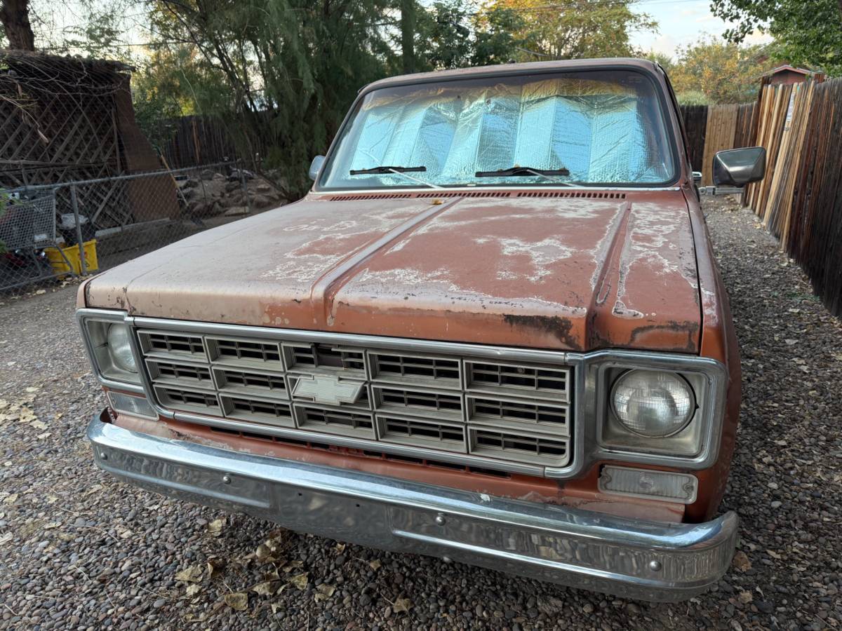 Chevrolet-C10-1978-brown-56535-5