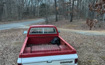 Chevrolet-C10-1984-red-198681-2