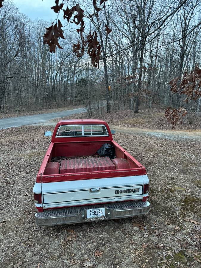 Chevrolet-C10-1984-red-198681-2