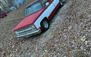 Chevrolet-C10-1984-red-198681-3