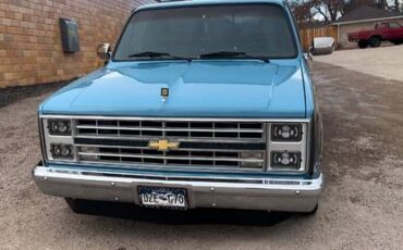 Chevrolet-C10-1986-blue-201168-1