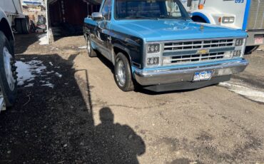 Chevrolet-C10-1986-blue-201168-10