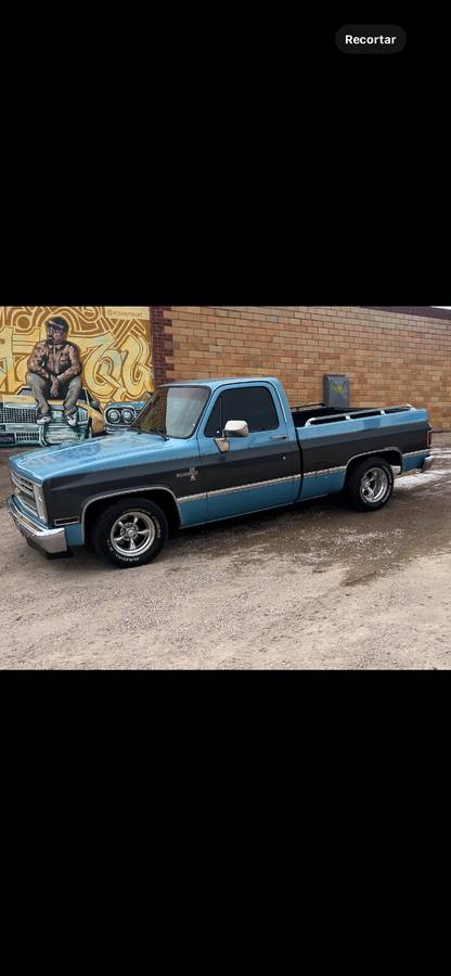 Chevrolet-C10-1986-blue-201168-2