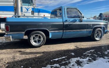 Chevrolet-C10-1986-blue-201168-3