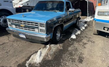 Chevrolet-C10-1986-blue-201168-6