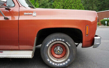 Chevrolet-C10-Pickup-1978-White-Brown-107826-10