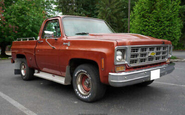 Chevrolet-C10-Pickup-1978-White-Brown-107826-11