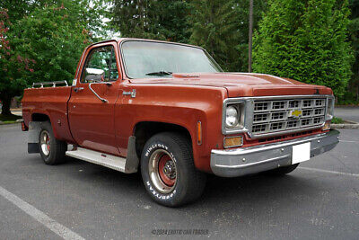 Chevrolet-C10-Pickup-1978-White-Brown-107826-11