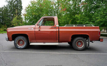 Chevrolet-C10-Pickup-1978-White-Brown-107826-2