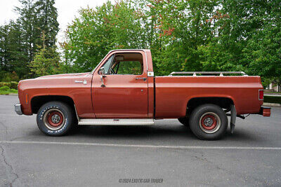 Chevrolet-C10-Pickup-1978-White-Brown-107826-2