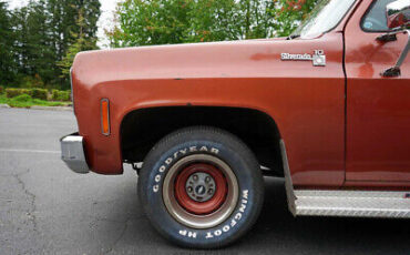 Chevrolet-C10-Pickup-1978-White-Brown-107826-3