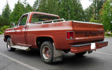 Chevrolet-C10-Pickup-1978-White-Brown-107826-5