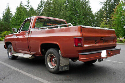 Chevrolet-C10-Pickup-1978-White-Brown-107826-5