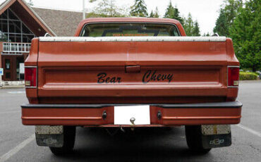 Chevrolet-C10-Pickup-1978-White-Brown-107826-6