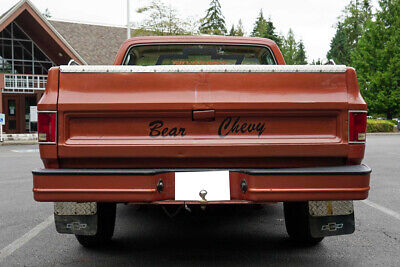 Chevrolet-C10-Pickup-1978-White-Brown-107826-6