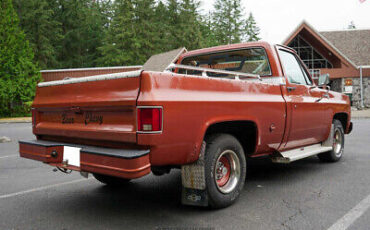 Chevrolet-C10-Pickup-1978-White-Brown-107826-7