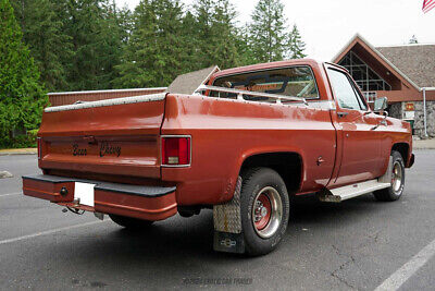 Chevrolet-C10-Pickup-1978-White-Brown-107826-7