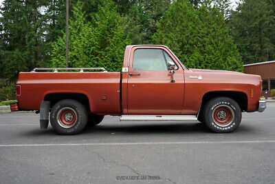 Chevrolet-C10-Pickup-1978-White-Brown-107826-8