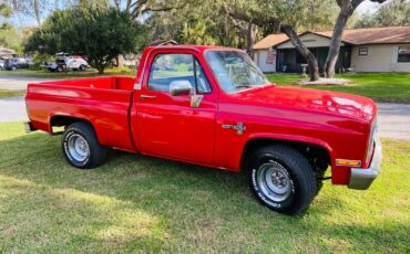 Chevrolet-C10-Scottsdale-1984-Red-Red-135100-1