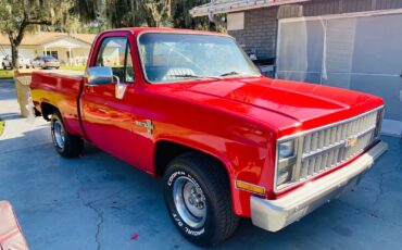 Chevrolet-C10-Scottsdale-1984-Red-Red-135100-2