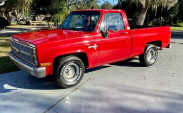 Chevrolet-C10-Scottsdale-1984-Red-Red-135100-3