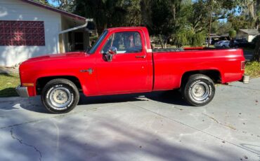 Chevrolet-C10-Scottsdale-1984-Red-Red-135100-4