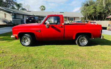 Chevrolet-C10-Scottsdale-1984-Red-Red-135100-7