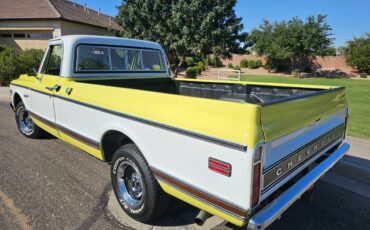 Chevrolet-C10-custom-deluxe-1972-4