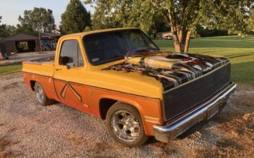 Chevrolet-C10-pickup-1980-yellow-35689-1