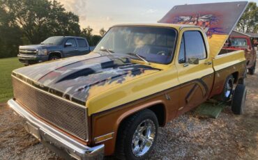 Chevrolet-C10-pickup-1980-yellow-35689