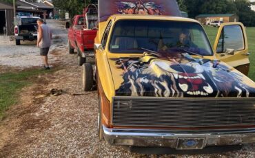 Chevrolet-C10-pickup-1980-yellow-35689-5