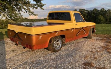 Chevrolet-C10-pickup-1980-yellow-35689-6