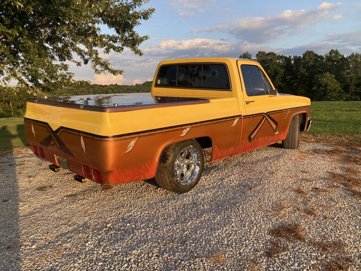 Chevrolet-C10-pickup-1980-yellow-35689-6