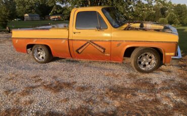 Chevrolet-C10-pickup-1980-yellow-35689-7