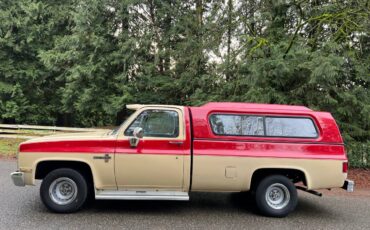 Chevrolet-C10-pickup-1985-1