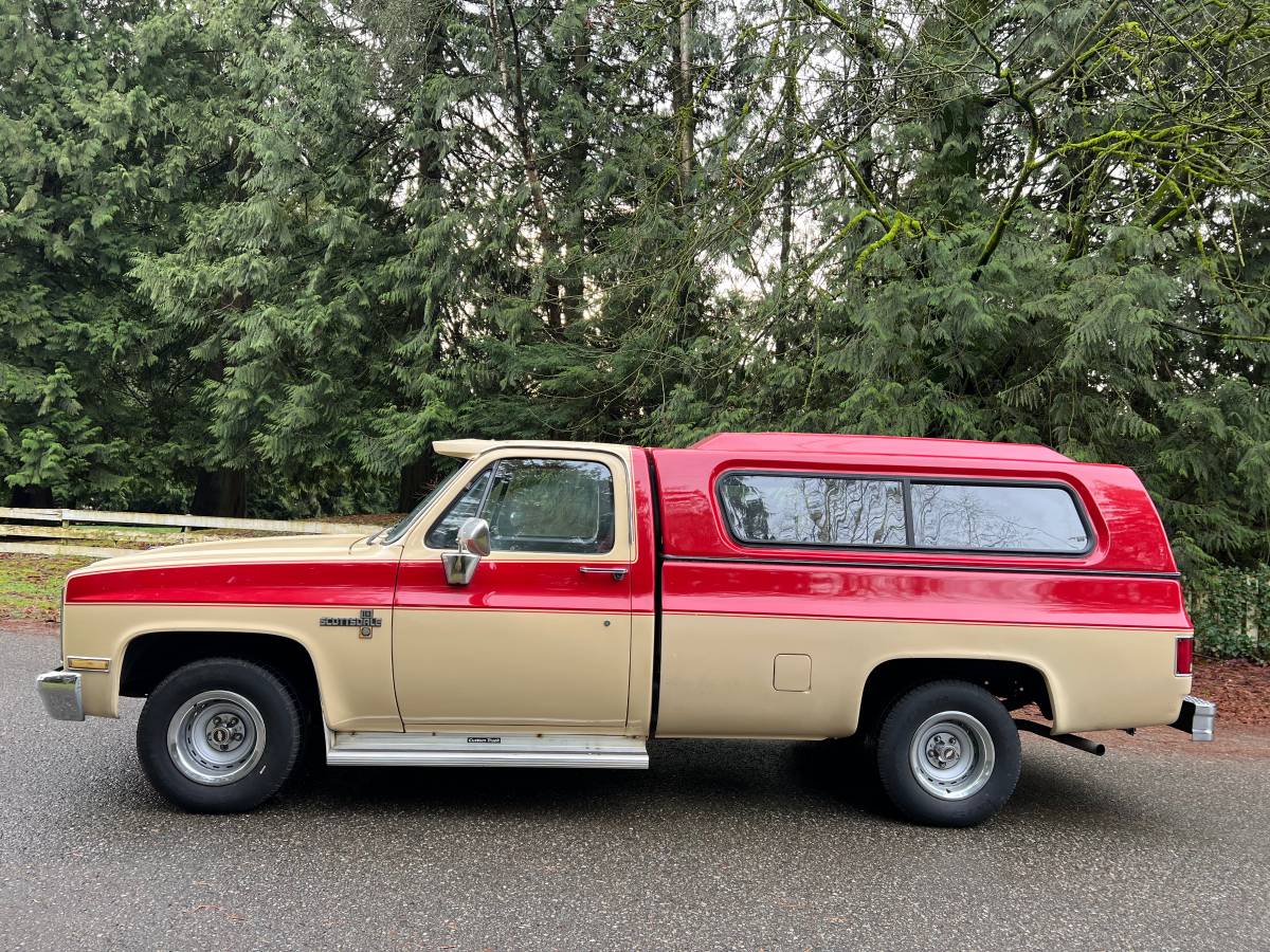 Chevrolet-C10-pickup-1985-1