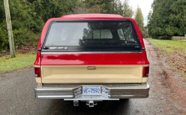 Chevrolet-C10-pickup-1985-3