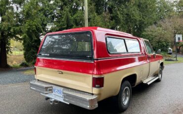 Chevrolet-C10-pickup-1985-4