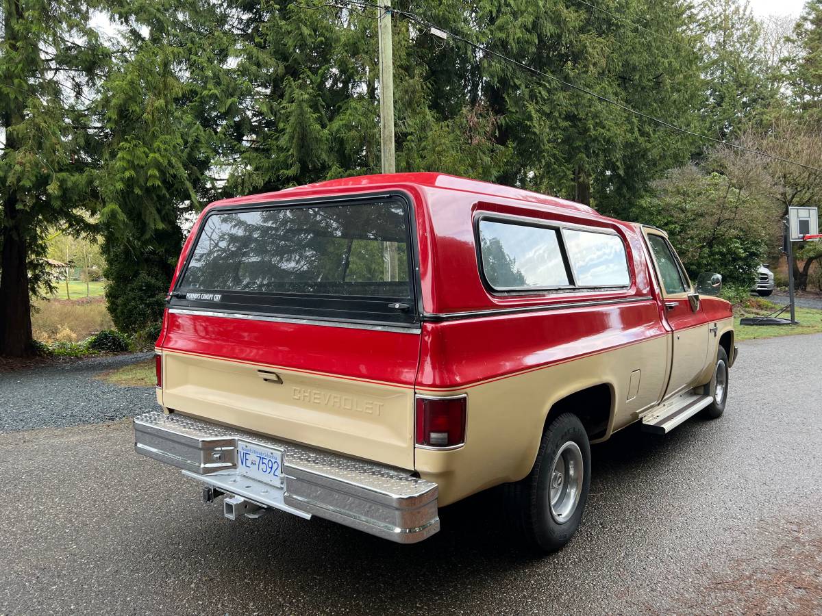 Chevrolet-C10-pickup-1985-4